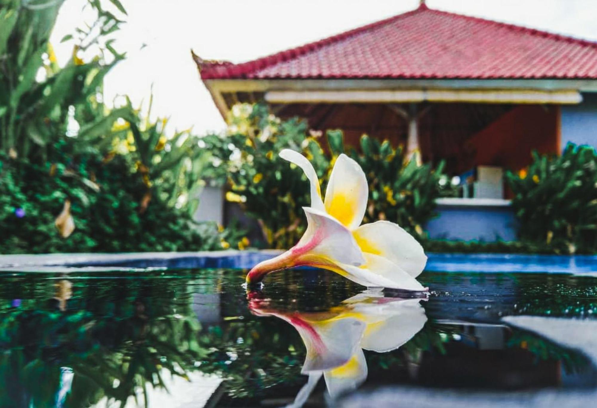 Hokita Home Stay Nusa Lembongan  Exterior photo